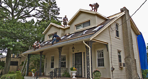 Best Roof Maintenance Services  in Enterprise, WV